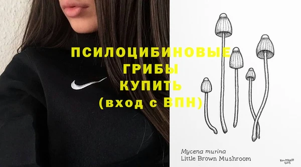 герыч Абинск
