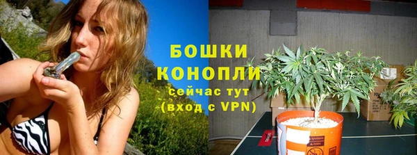 бошки Абаза