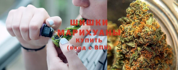 PSILOCYBIN Алексеевка
