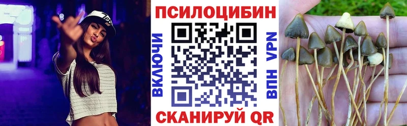 где купить наркоту  Никольское  гидра ТОР  Псилоцибиновые грибы ЛСД 